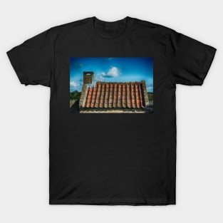 Dutch Roof at Kinderdijk Nederlands T-Shirt